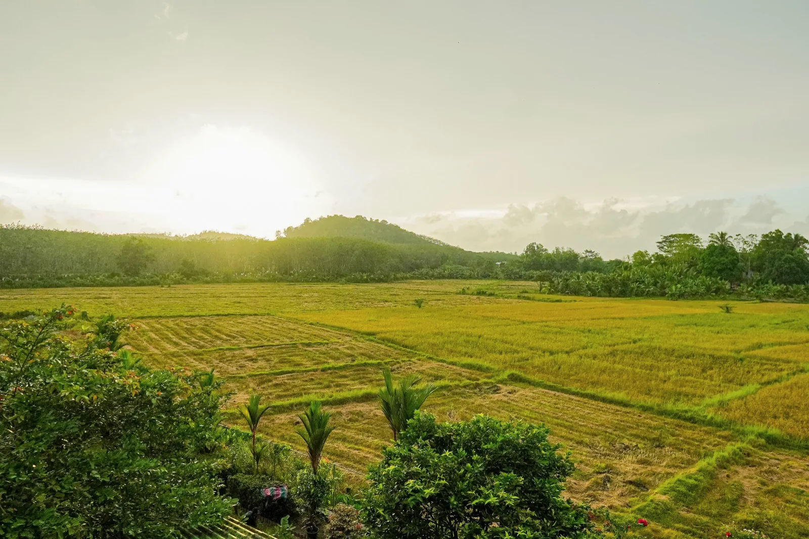 දොඹගොඩ මධ්‍යස්ථානය අවට හරිත කඳු සහ කෙත්